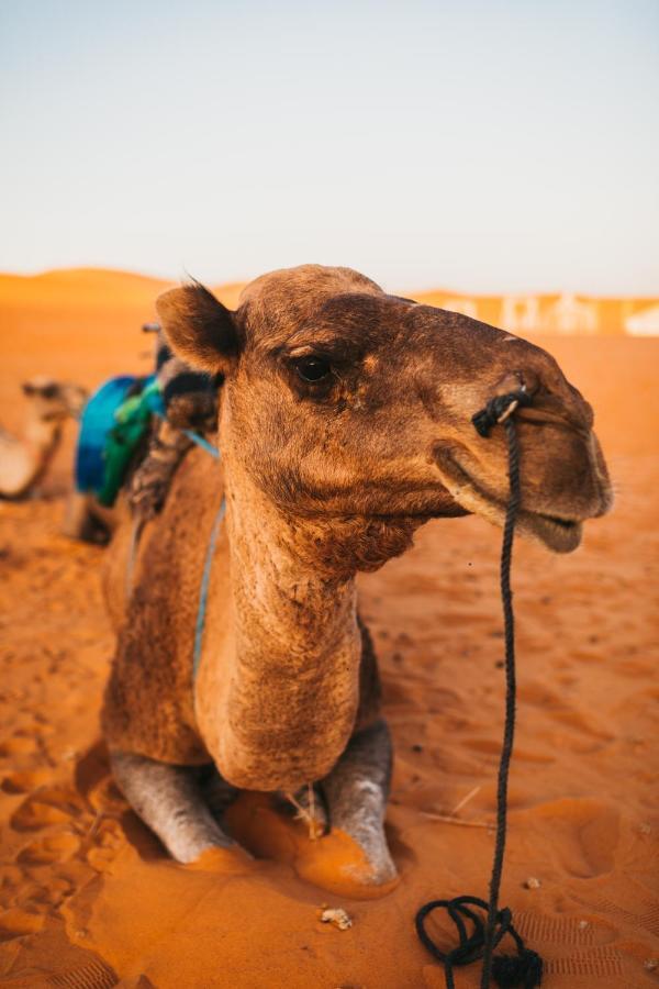 Sanmao Desert Luxury Camp Merzouga Buitenkant foto